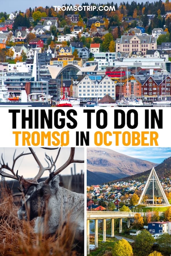 Looking for the top things to do in Tromsø in October? I have you covered! In this guide, you will find my best tips and activities for an autumn trip to Tromsø! | Fall in Tromso | Autumn in Tromso | Tromso autumn guide | Things to do in Tromso | What to do in Tromso | Tromso tours | Tromso festivals | Tromso events