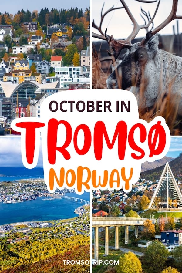 Looking for the top things to do in Tromsø in October? I have you covered! In this guide, you will find my best tips and activities for an autumn trip to Tromsø! | Fall in Tromso | Autumn in Tromso | Tromso autumn guide | Things to do in Tromso | What to do in Tromso | Tromso tours | Tromso festivals | Tromso events