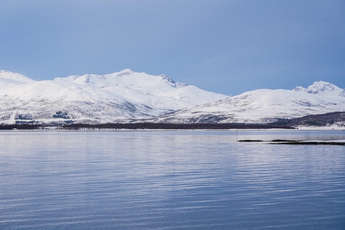 Views from my Brim Explorer boat trip