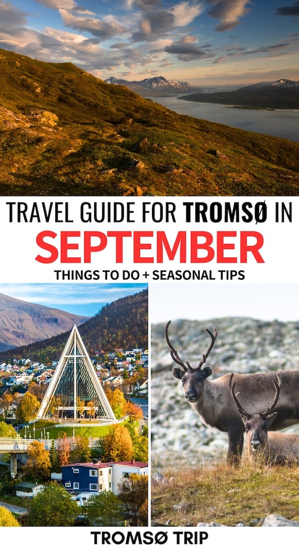 Looking for the best things to do in Tromsø in September? I have you covered - this guide covers the top activities and some useful seasonal tips for autumn. | Tromso autumn | Tromso September | Tromso fall | Things to do in Tromso | What to do in Tromso | Tromso in the off season | Northern lights in Tromso | Hiking in Tromso