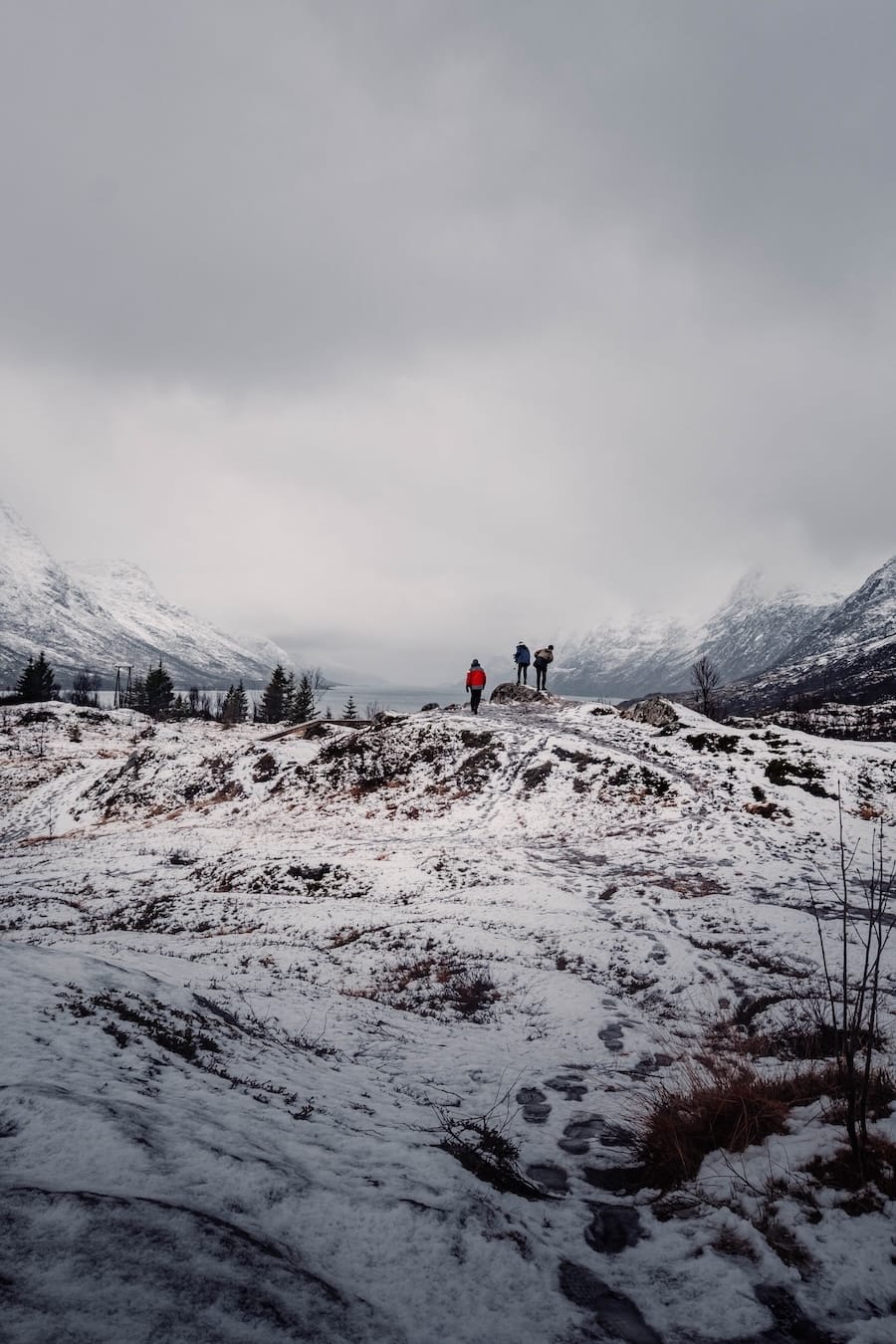 What it looks like in mid November in Tromsø