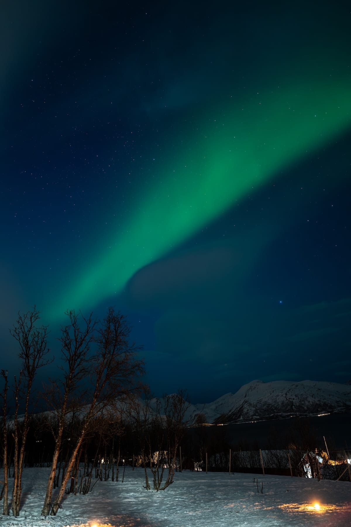 Northern lights at Tromsø Arctic Reindeer