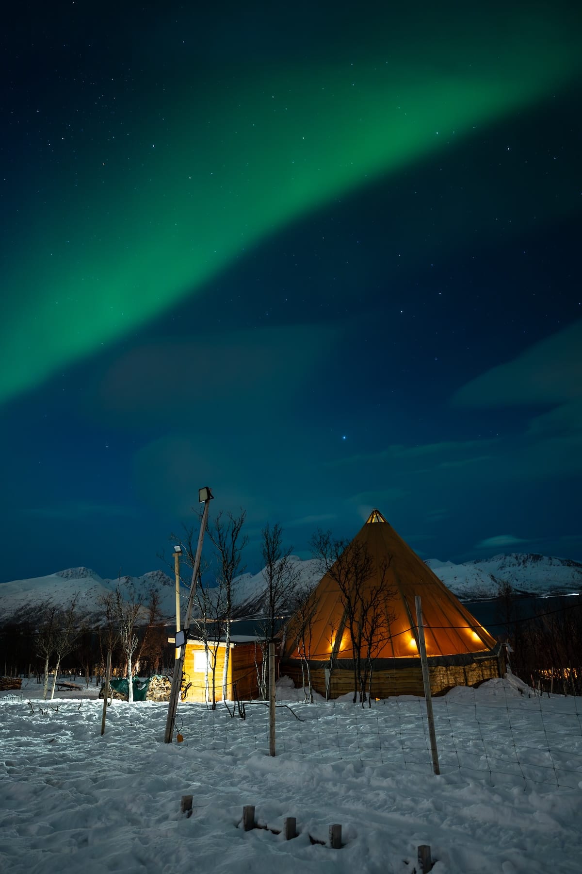 My last Sami/reindeer farm experience in Tromso (February 2024)