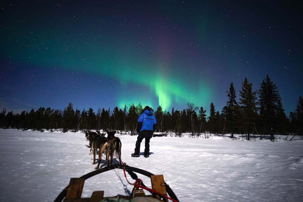 Seeing the northern lights in the Arctic