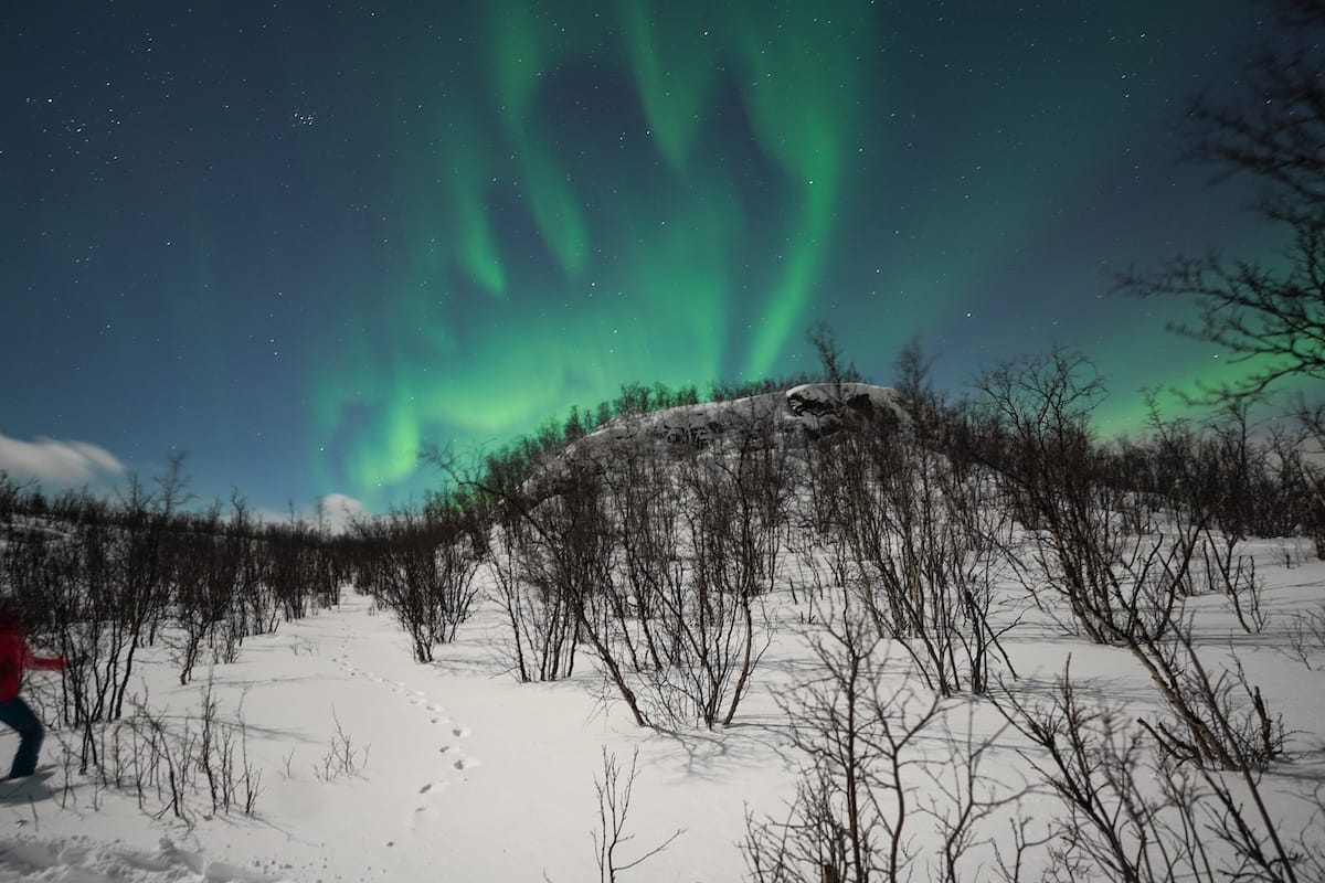 A snowshoeing + northern lights tour in Abisko that Ed took.