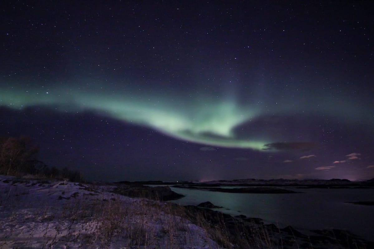 Northern lights in Tromsø (on a tour)