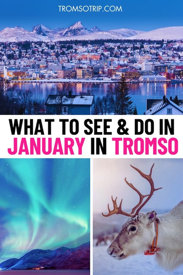 Looking to visit Tromsø in January and want to know what to do, how the weather will be, and additional tips for your trip? My guide covers it all - read more! January in Tromsø | January trip to Tromsø | Tromsø in winter | Winter tours in Tromsø | Northern lights in Tromsø | Tromsø winter tours | Tromsø winter tips | Visit Tromsø | Polar night in Tromsø | Tromsø whale watching | Tromsø aurora