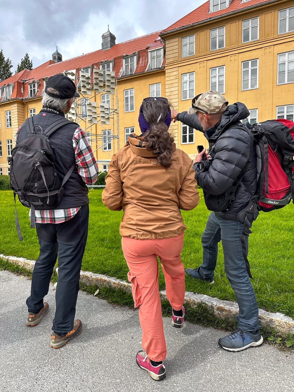 On a Kittiwalk in Tromsø with Rissa Citizen Science