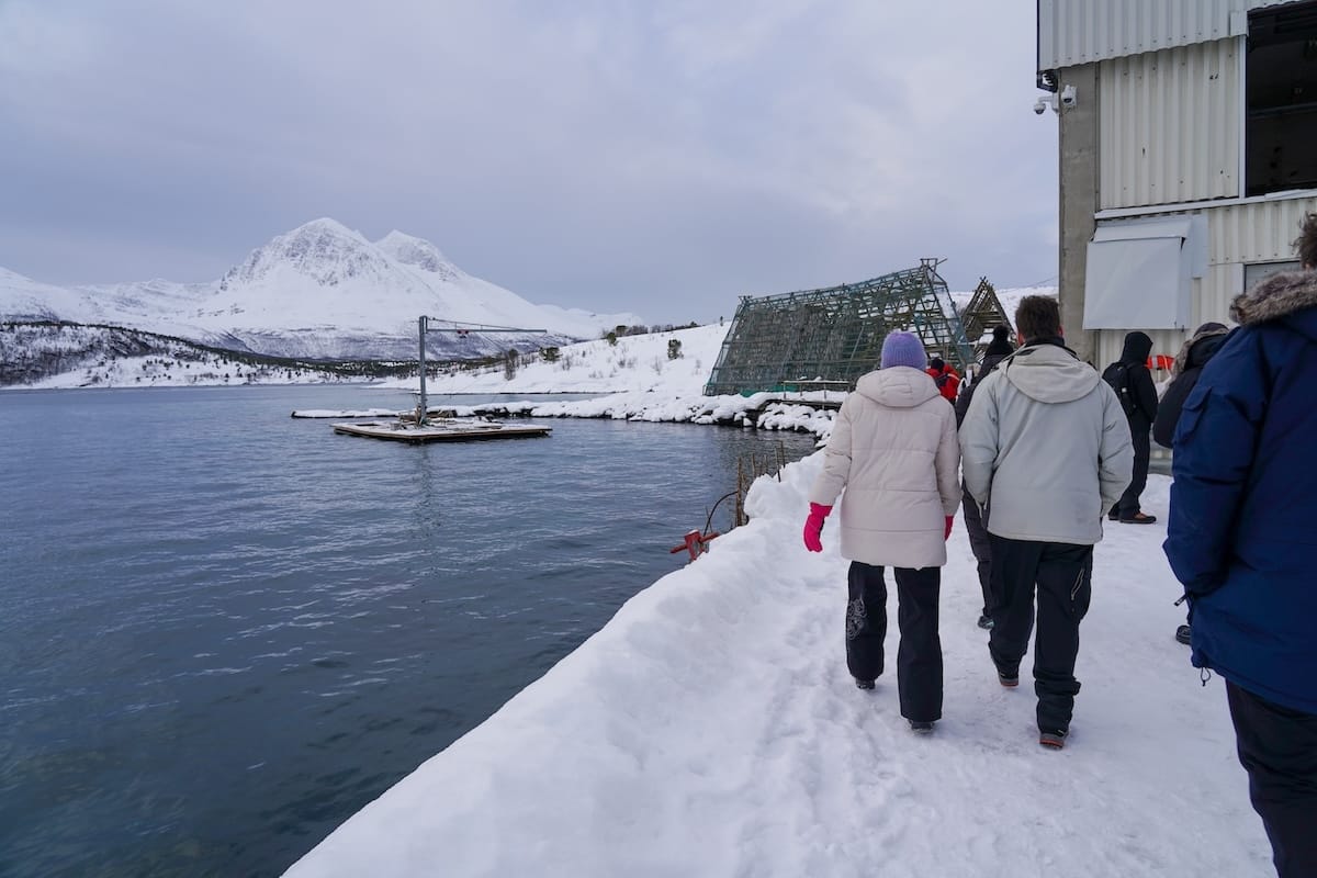 During our Tromsø fjord tour