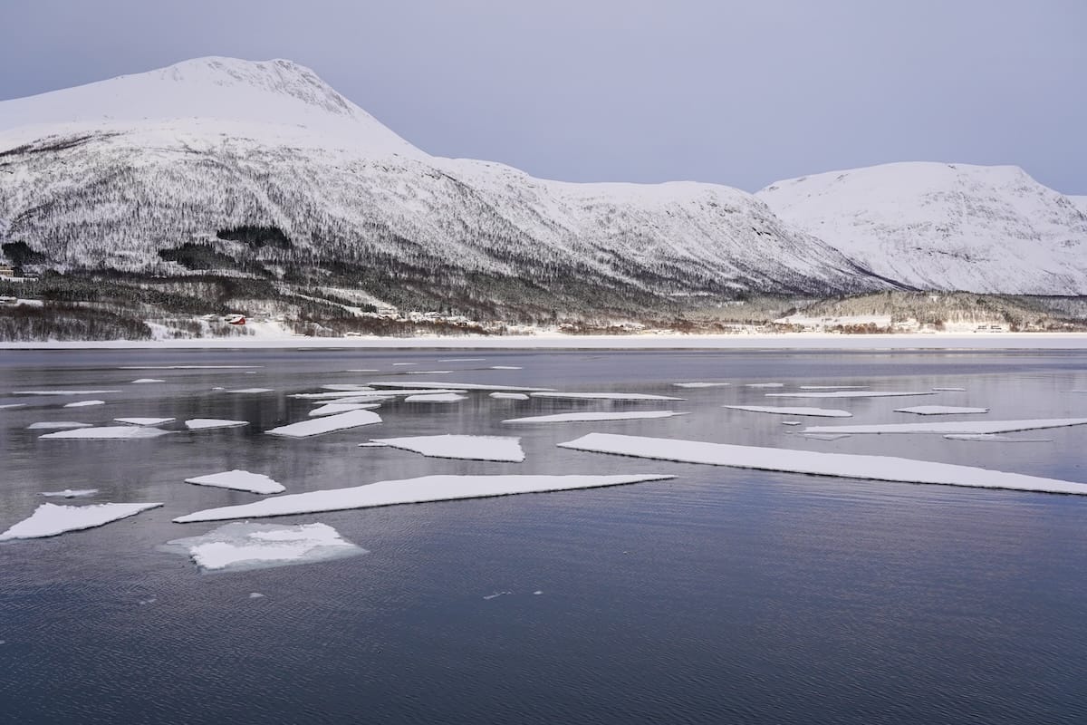 Ice on the fjord during my tour