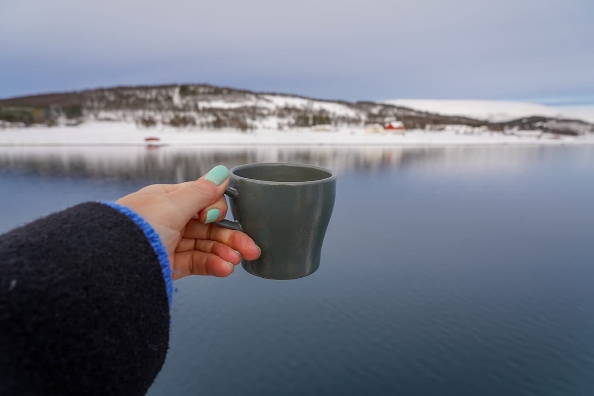 Arctic Fjord Tour in Tromsø with Brim Explorer-7