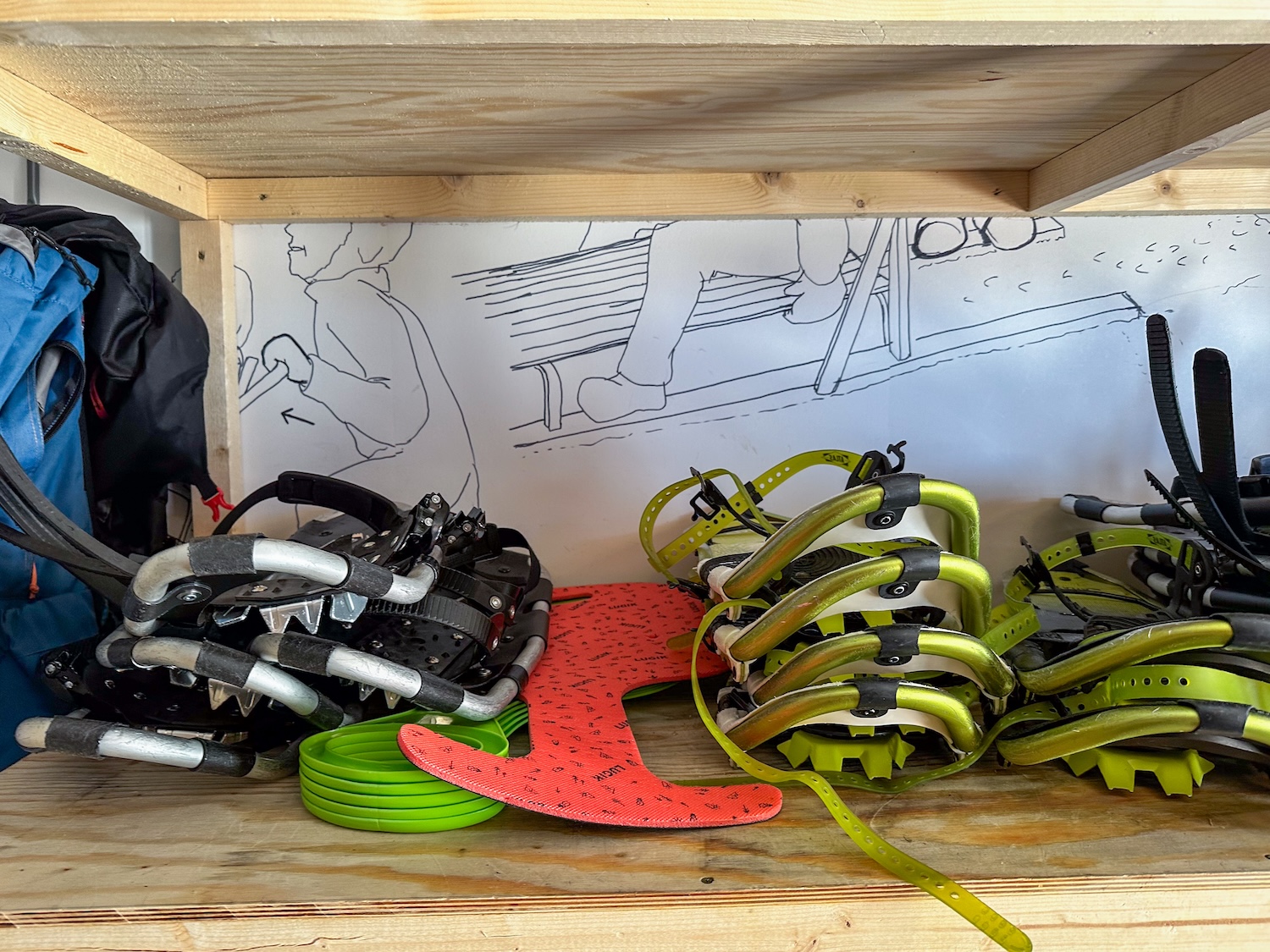 You can also try out snowshoeing