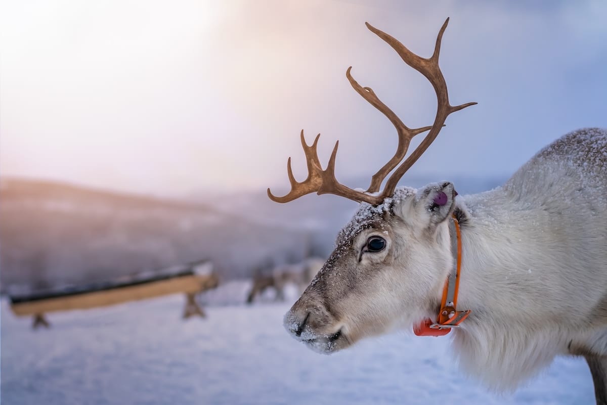 Best tours in Tromsø, Norway