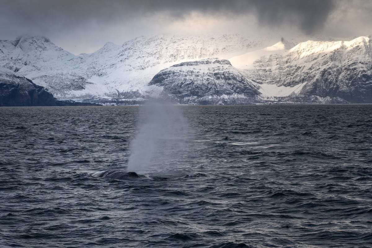 My most recent tour with Brim Explorer in Oct 2025