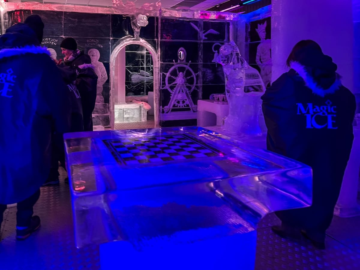 a bunch of people in branded parkas inside an ice bar