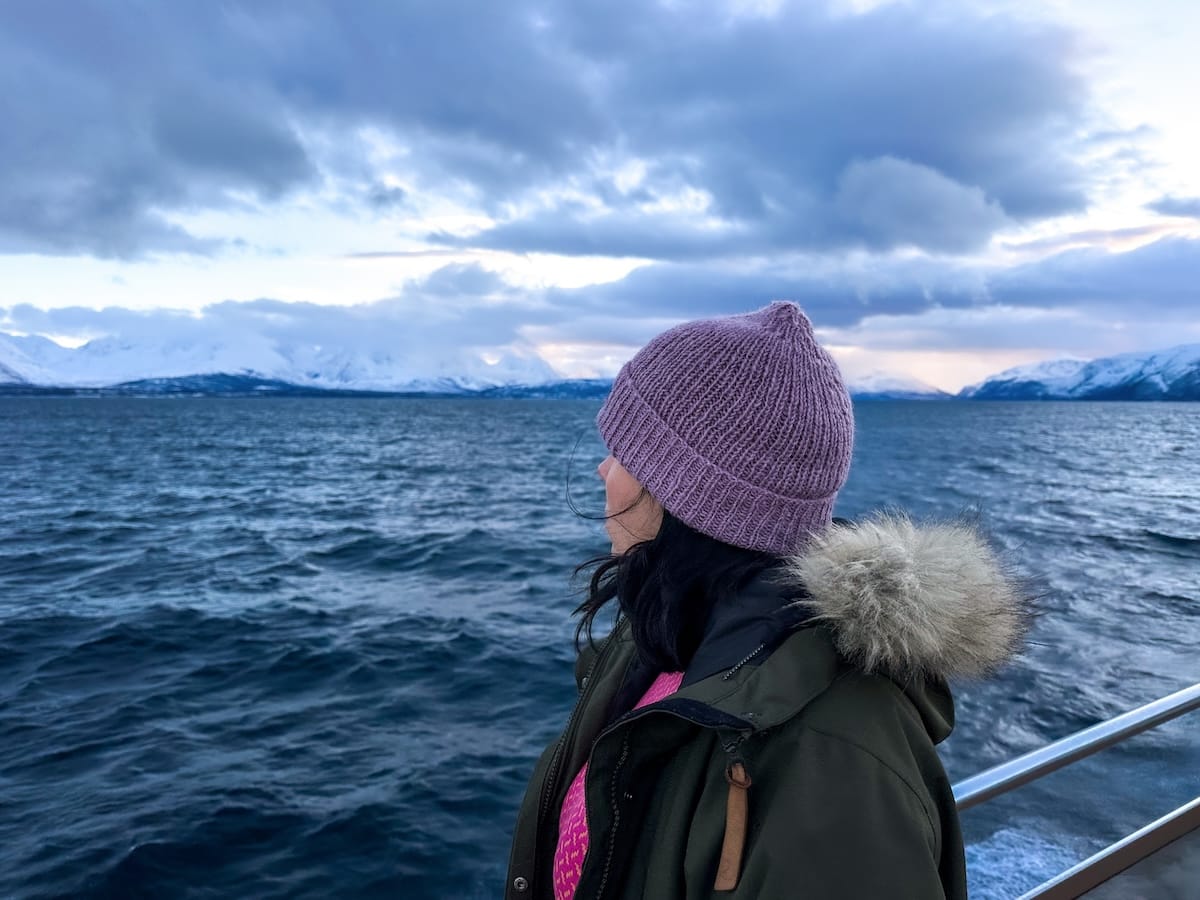 Whale watching in Tromsø
