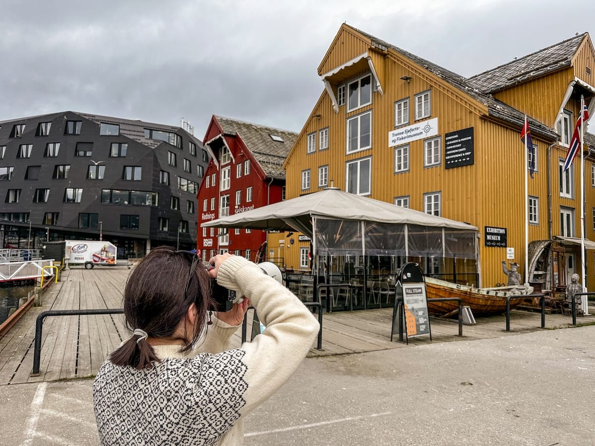 Photographing black-legged kittiwakes in Tromsø
