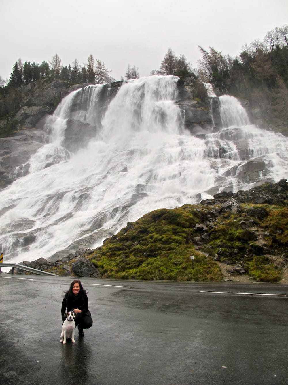Driving around Western Norway in 2011 with my dog